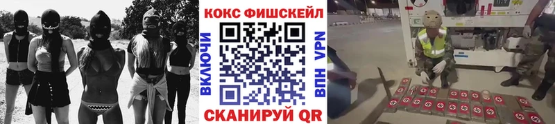 Купить закладки  Новоузенск  COCAIN 98% 